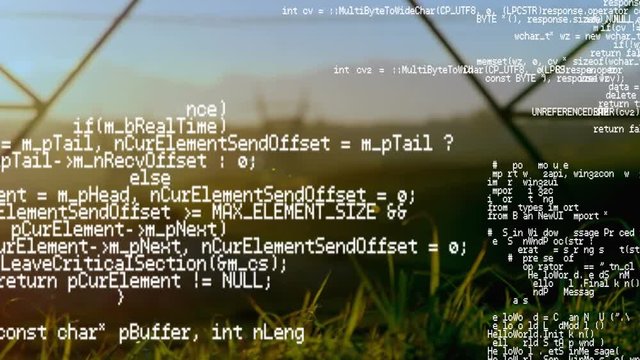 Program codes and a field