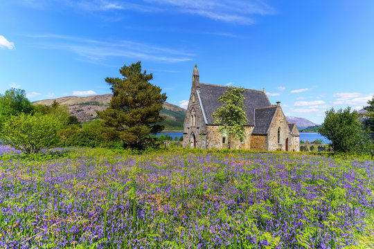 Memorial and Commonwealth War Graves with beautiful purple flowers foreground in Glencoe , Scotland