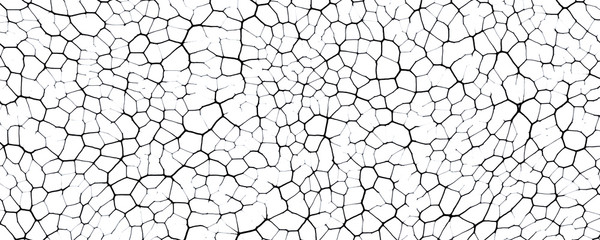 Black and white cracked ground texture background