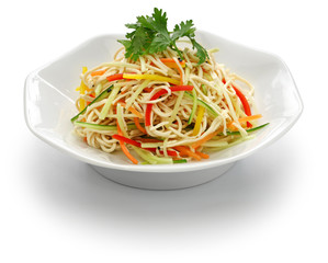 Tofu noodle salad chilled and dressed with sauce, chinese vegan cuisine