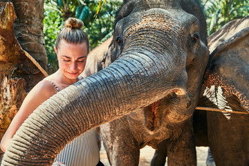 Smiling woman stroking the trunk of a large Asian elephant - Powered by Adobe