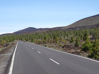 Parque Nacional del Teide, Tenerife