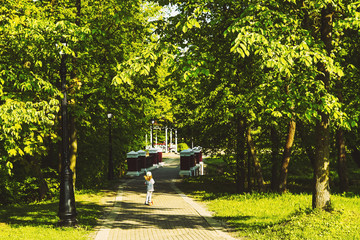 A little girl in the park rides a scooter on the road among thick bright green trees.