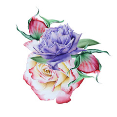 Fototapeta na wymiar Watercolor bouquet with flowers. Illustration. Rose. Peony. hand drawn.