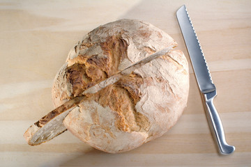 Osteria Brot