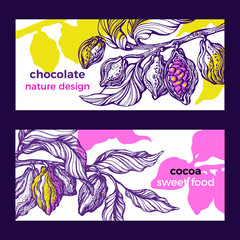 Cocoa. Tropical flyer. Vector jungle. Natural chocolate