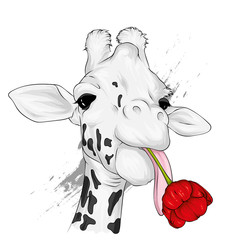 Funny giraffe. Vector illustration for greeting card or poster. Flower. Print on clothing or printed materials. Wild animal.