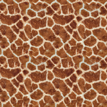 Seamless Fur Pattern Texture Giraf 