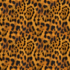 Seamless Fur Pattern Texture Jaguar