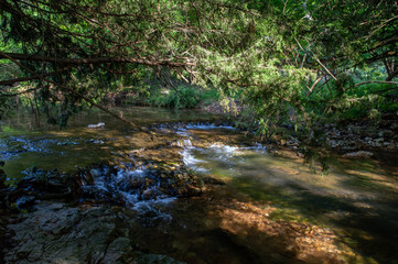 Naklejka na ściany i meble A small creek with a picturesque waterfall under the shadow of trees on a spring day in Southwest Missouri. Bokeh effect.