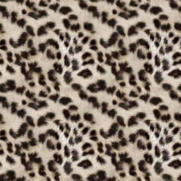 Seamless Fur Pattern Texture Realistic Snow Leopard