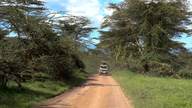 Game drive in Ngorongoro Conservation area. Arusha region, Tanzania.