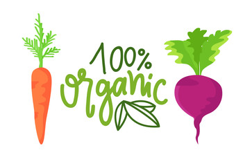 Carrot and beet organic food, poster with vegetables, natural product, vegetarian emblem in flat design style, agriculture fresh plant, marketing vector