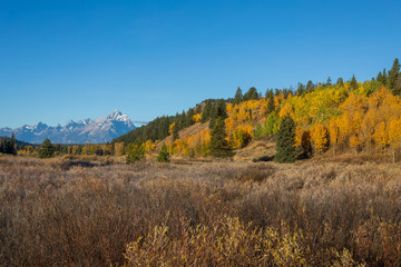Scenic Autumn Landscape in the Tetons