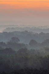 Mystical view from top on forest under haze at early morning. Mist among layers from tree silhouettes in taiga under predawn sky. Calm morning atmospheric minimalistic landscape of majestic nature.
