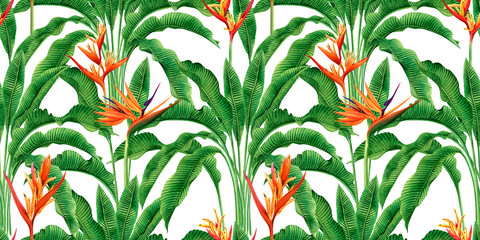 watercolor painting bird of paradise blooming flowers,green leaves,palm,banana seamless pattern on white background.Watercolor hand drawn illustration tree tropical exotic leaf for wallpaper textile. © nongnuch_l
