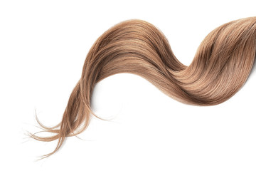 Brown hair isolated on white background. Long wavy ponytail