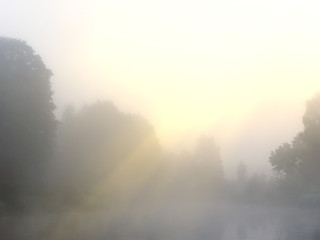 fog over forest lake at sunrise in summer