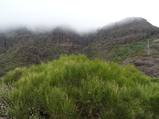 Barranco de Masca, Tenerife