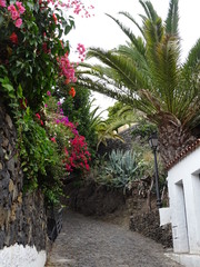 Barranco de Masca, Tenerife