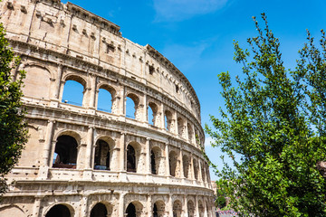 Fototapeta premium ROME, Italy: Great Roman Colosseum (Coliseum, Colosseo) also known as the Flavian Amphitheatre. Famous world landmark.