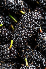 Ripe and fresh fruit of black mulberry, healthy food of juicy mulberry fruit. Close-up, the texture of the berries on the full frame