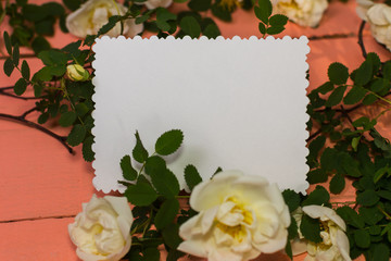 white empty card surrounded by roses on pink background