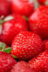 Juicy, ripe natural red strawberries without GMO. Strawberry - full frame. Close-up