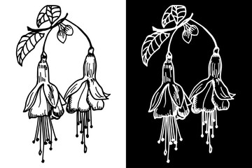 flower herb floral hand drawn sketch black and white doodle