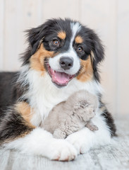 Adult australian shepherd dog hugging baby kitten at home