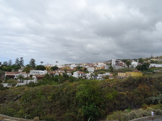 Fototapeta na wymiar Icod de los Vinos, Tenerife