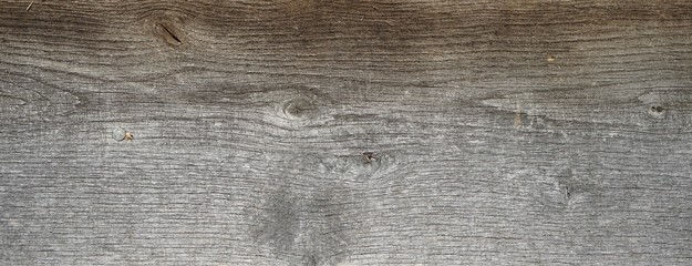 Wood Grain Board as a Background