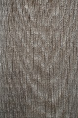 Wood Grain Board as a Background