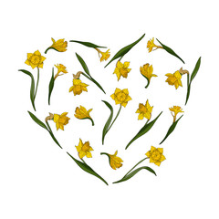 Heart made of yellow daffodils. Template with floral romantic elements for your season design
