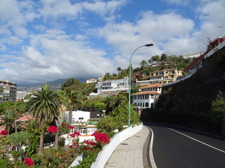 Fototapeta premium Puerto de la Cruz, Tenerife