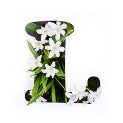 The letter L of the English alphabet of small white flowers
