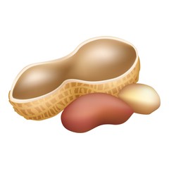 Shell peanut icon. Cartoon of shell peanut vector icon for web design isolated on white background