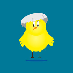 Chick with an animated hat egg shell.