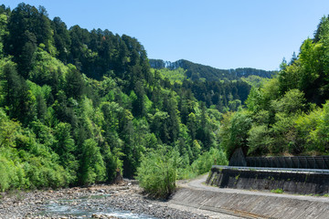 Fototapeta premium 王滝川