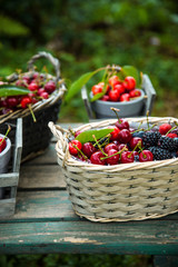 Fresh forest fruit on wood