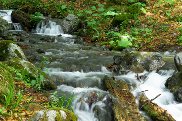 Fototapeta na wymiar Peaceful forest landscape with small river cascade falls over mossy rocks