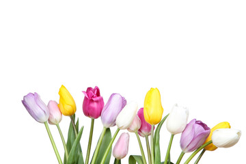 Bouquet of tulip flowers on white background