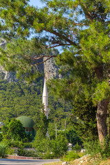 Fototapety na wymiar - Fototapeta24.pl