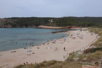 view of beach