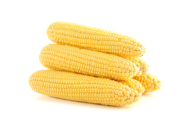 Ripe corn isolated on white background