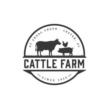 Retro Vintage Cattle / Angus / Beef Emblem Label logo design vector