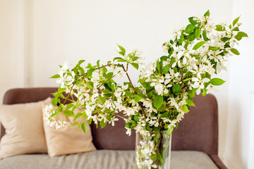 Glass vase with blooming twigs placed near comfortable couch in cozy apartment