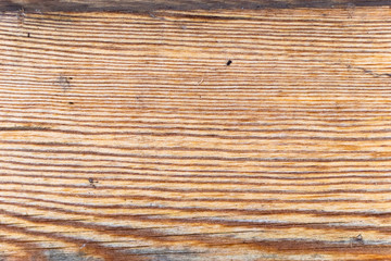 Wood texture