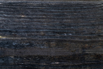 Fototapeta premium Wood texture