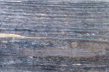 Wood texture